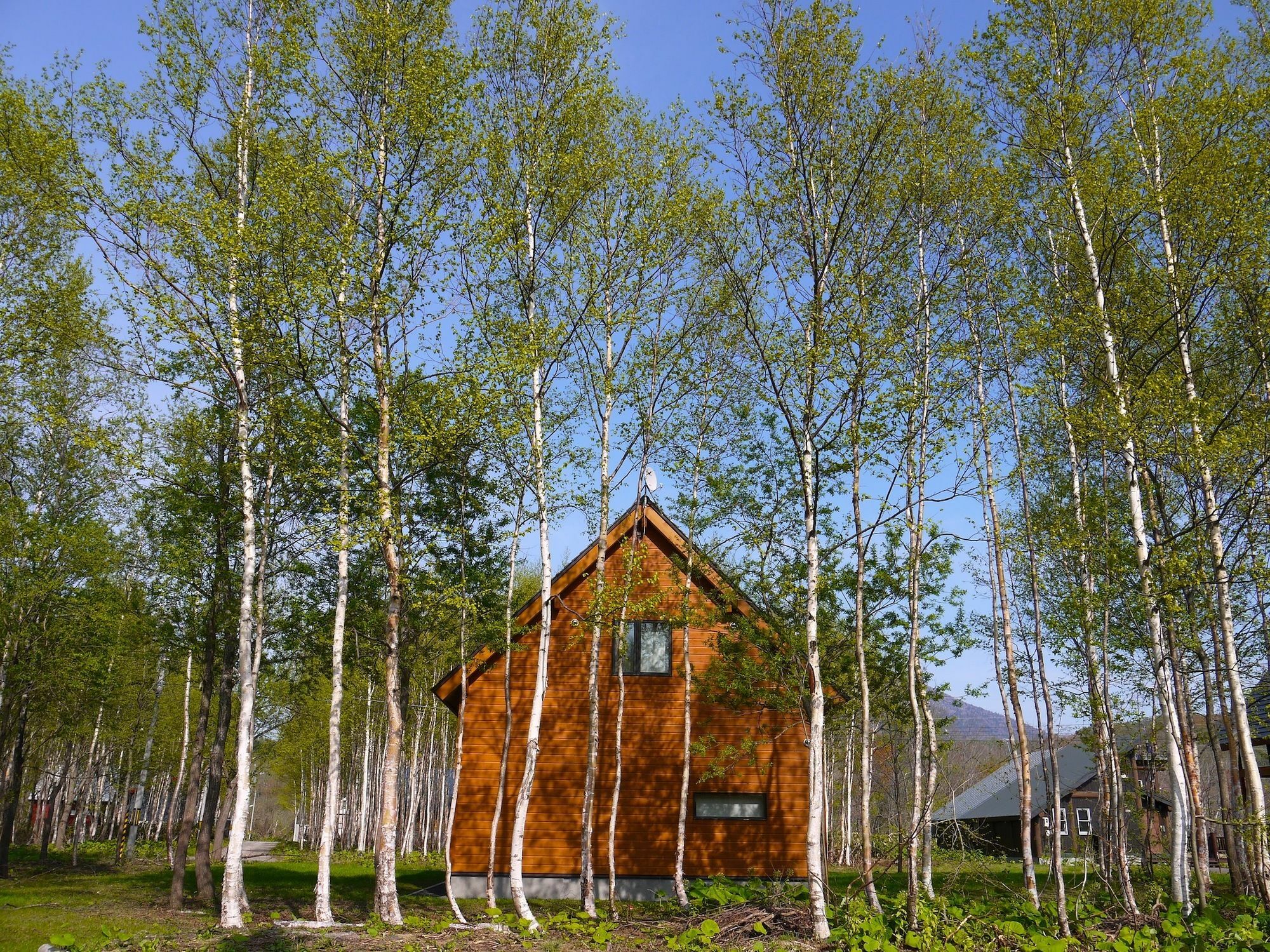 Country Resort Niseko Kutchan Eksteriør bilde